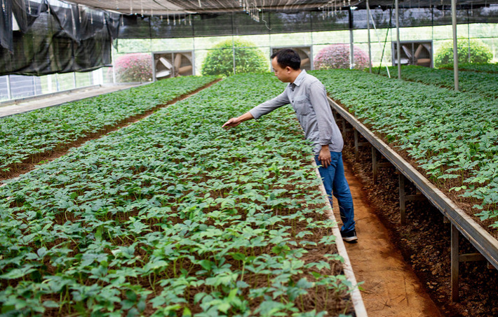 可持续种植实践
