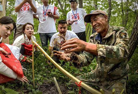 长白山人参加工