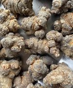 三七粉日常怎么吃才好?
